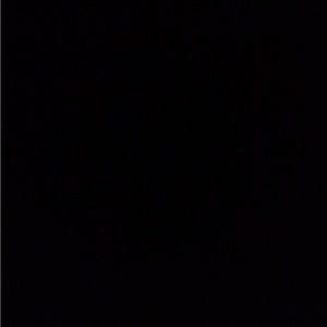 Meet your Posher, Mia